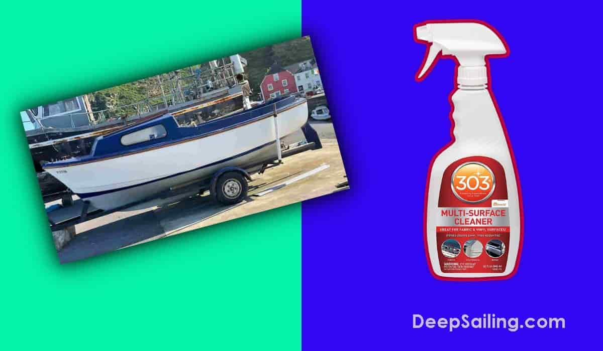 303 PRODUCTS Marine/Recreation Multi-Surface Cleaner, Gallon