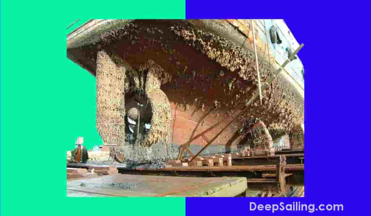 Cleaning boat exterior